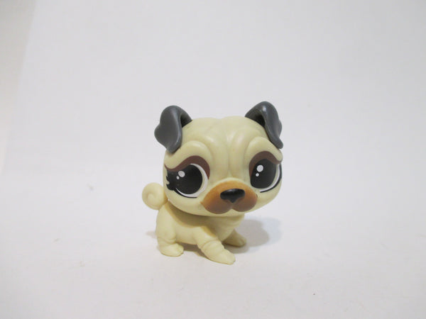 Zuru Gumi Yum Surprise Mini Pug Puppy Dog Figure  WW SEP3A