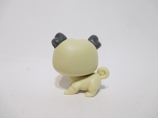 Zuru Gumi Yum Surprise Mini Pug Puppy Dog Figure  WW SEP3A